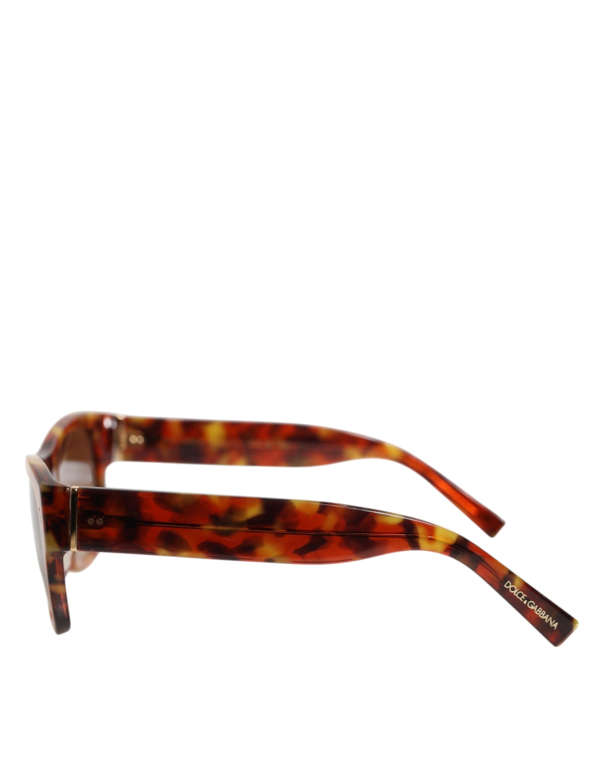 Dolce & Gabbana DG4338F Brown Havana Full Rim Round Lenses Sunglasses